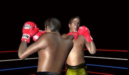 3D boxing game screenshot apk 14