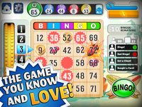 Bingo™ screenshot apk 3