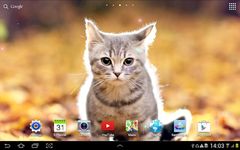 Cat Live Wallpaper capture d'écran apk 6