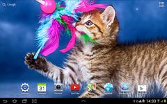 Cat Live Wallpaper screenshot apk 3