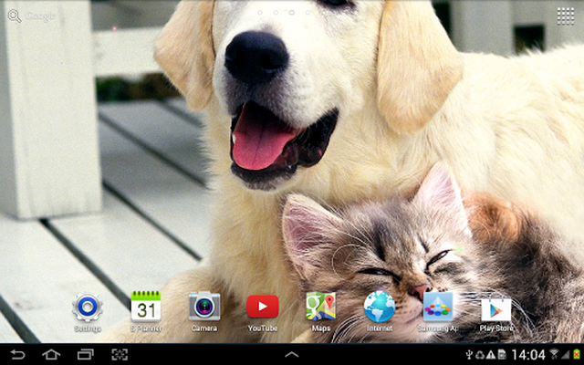Cat Live Wallpaper APK - Free download app for Android