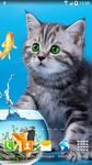 Cat Live Wallpaper captura de pantalla apk 10