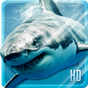 Requin HD Fond D'écran Animé APK