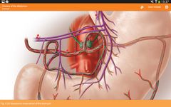 Gambar Sobotta Anatomy Atlas 1