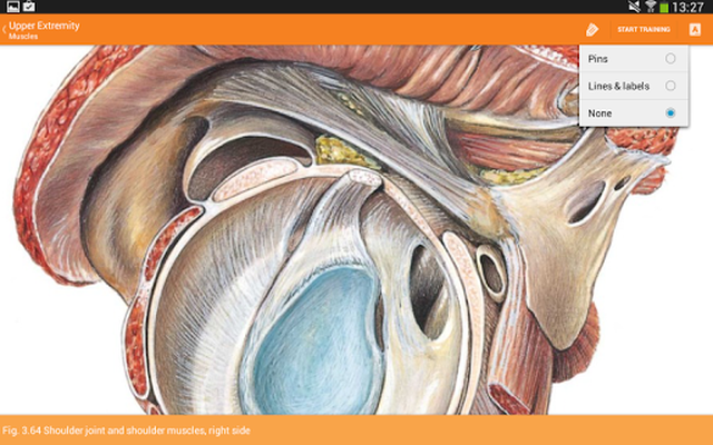 Essential Anatomy 3: studiare ed imparare l'anatomia umana con Android 
