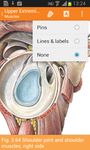 Sobotta Anatomie Atlas Bild 7