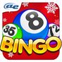 Icona AE Bingo: Offline Bingo Games