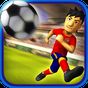 Striker Soccer Euro 2012 Pro