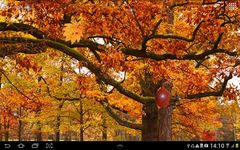 Autumn Landscape Wallpaper screenshot apk 1