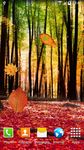 Screenshot 9 di Autumn Landscape Wallpaper apk