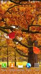 Tangkapan layar apk Autumn Landscape Wallpaper 8