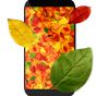 Иконка Осенние листья 3D живые обои