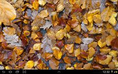 Скриншот 1 APK-версии Осенние листья 3D живые обои