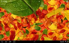 Скриншот 4 APK-версии Осенние листья 3D живые обои