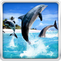 Dolphin HD Live Wallpaper apk icon