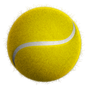 Tennis Score Keeper apk icono