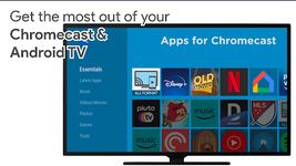 Apps for Chromecast ekran görüntüsü APK 6