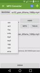 MP3 Video Converter image 21
