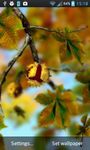 Autumn Leaves in HD Gyro 3D XL  Parallax Wallpaper image 1