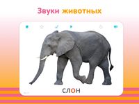 Скриншот 8 APK-версии Развивающие карточки для детей