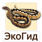 ЭкоГид: Рептилии APK