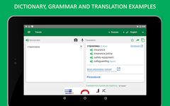 Online-Translator.com zrzut z ekranu apk 13