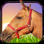 Paard Ride 3D APK