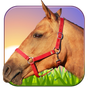 Paard Ride 3D APK