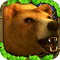 Wildlife Simulator: Bear Icon