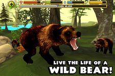 Captura de tela do apk Wildlife Simulator: Bear 14