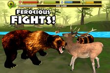 Wildlife Simulator: Bear ekran görüntüsü APK 10