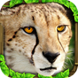 Иконка Cheetah Simulator