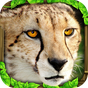 Biểu tượng Cheetah Simulator
