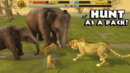 Captura de tela do apk Cheetah Simulator 2