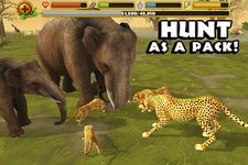 Cheetah Simulator ekran görüntüsü APK 12