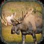 APK-иконка Moose Hunting Calls