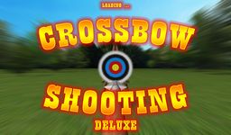 Tangkapan layar apk Crossbow shooting Deluxe 2