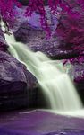 Wild Waterfalls Live Wallpaper image 4