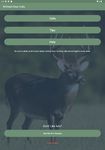 Whitetail Deer Calls screenshot APK 1