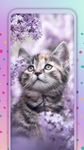 かわいい猫 ライブ壁紙 の画像