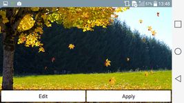 Скриншот 4 APK-версии Падают Листья Живые Обои