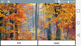 Fallende Blätter Hintergrund Screenshot APK 