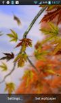 Autumn Leaves in HD Gyro 3D obrazek 1