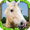 imagen wild horse simulator 0mini comments