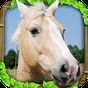 Иконка Wild Horse Simulator