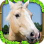 Icône de Wild Horse Simulator