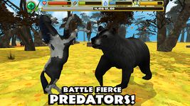 Wild Horse Simulator screenshot apk 6