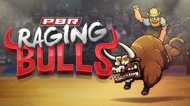 Картинка 14 PBR: Raging Bulls