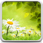 Wiese Hintergrundbilder APK