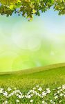 Spring Meadow Live Wallpaper image 3